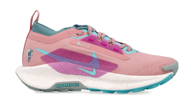 Nike Pegasus Trail 5 Goretex