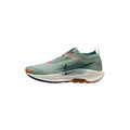 Nike Pegasus Trail 5 GORE-TEX