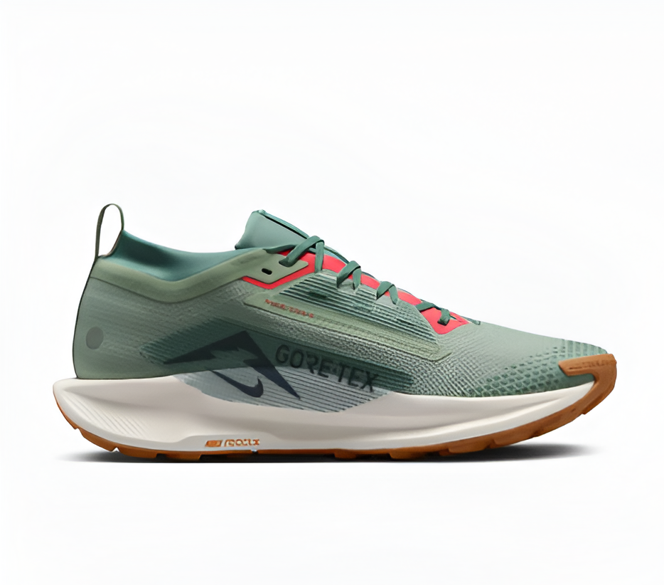 Nike Pegasus Trail 5 GORE-TEX